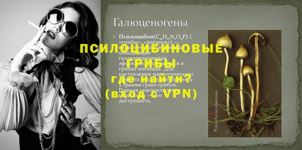 mdpv Козловка