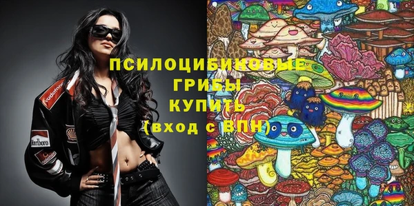 дурь Кинешма