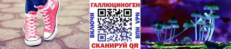 даркнет сайт  Прохладный  Галлюциногенные грибы MAGIC MUSHROOMS 